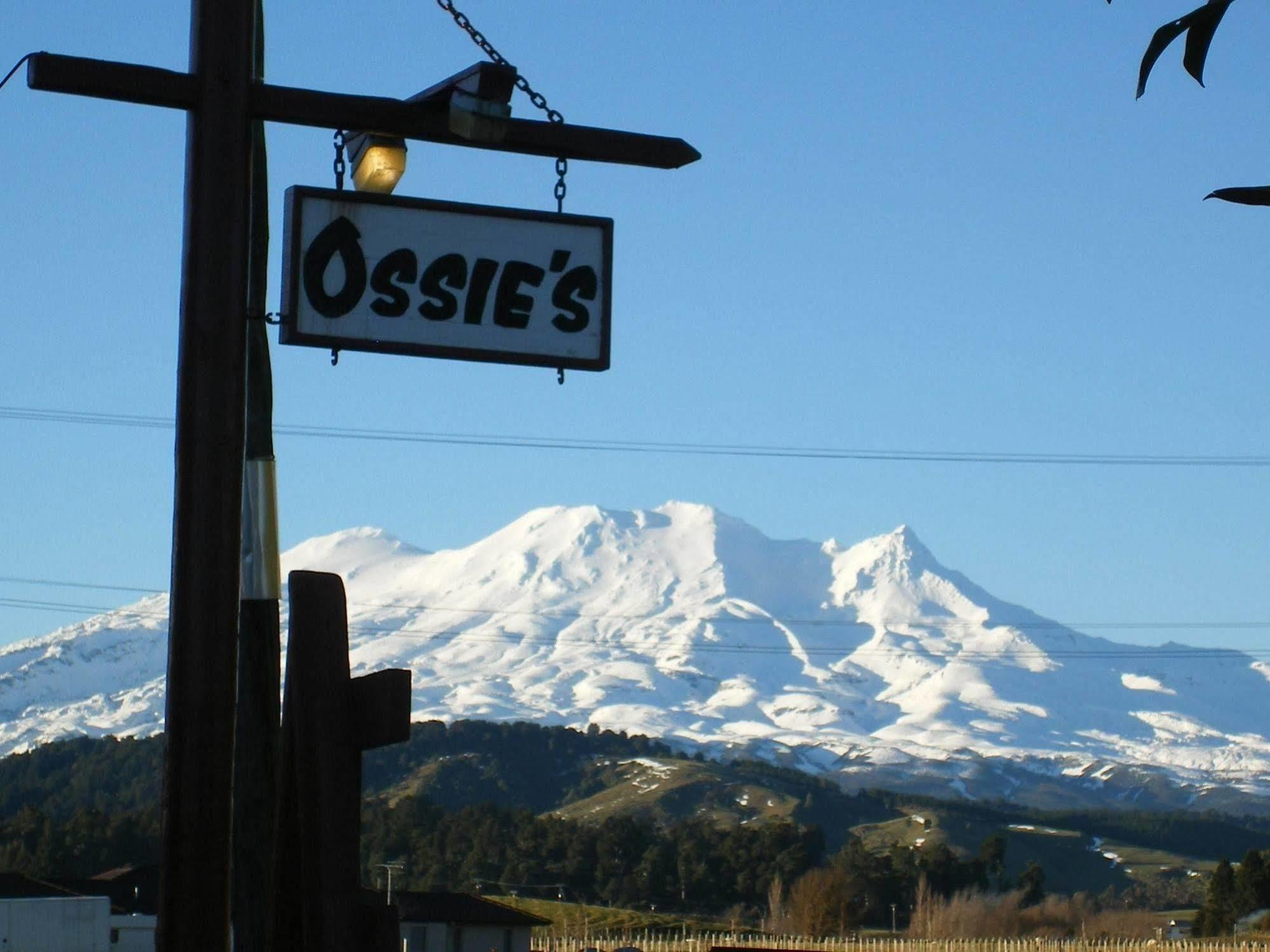 Ossies Motels And Chalets Ohakune Exterior foto